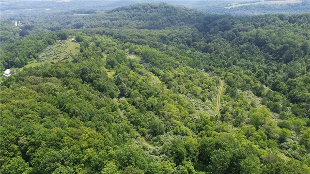 a view of a field of grass and trees