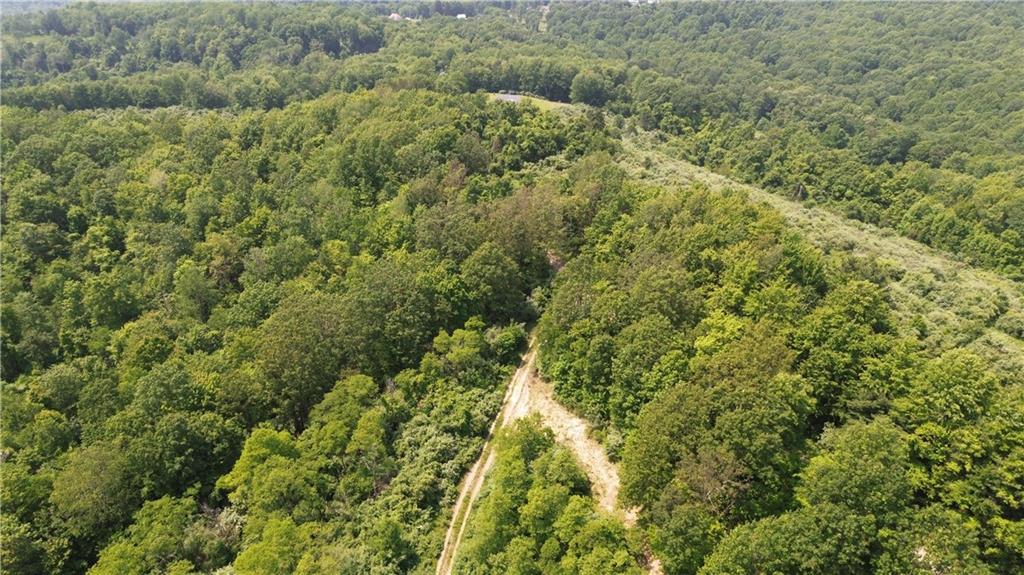 0 Glen Campbell Road Glen Campbell, PA 15742 - Photo 23 of 41 a view of a forest with a lush green forest
