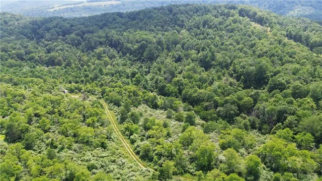 a view of a field of grass and trees