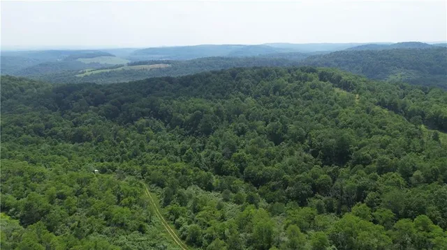a view of a big yard with lots of green space