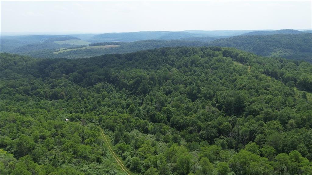 0 Glen Campbell Road Glen Campbell, PA 15742 - Photo 25 of 41