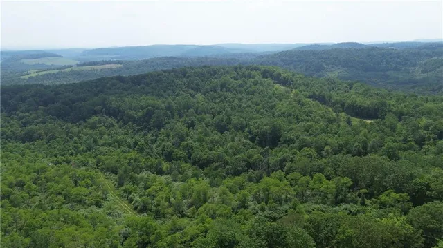 an aerial view of residential house with outdoor space and trees all around