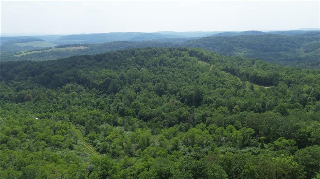 0 Glen Campbell Road Glen Campbell, PA 15742 - Photo 26 of 41 a view of a lush green forest with lush green forest
