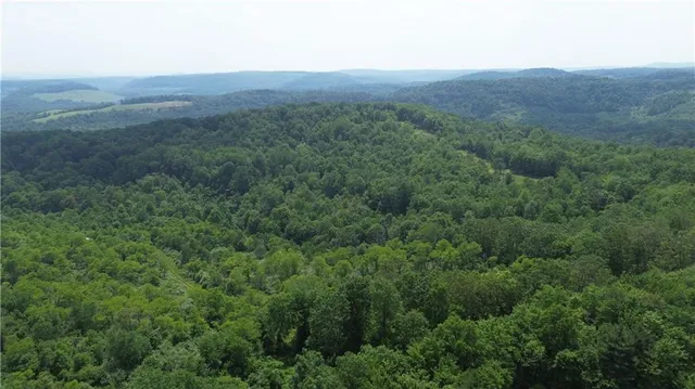 a view of a big yard with lots of green space