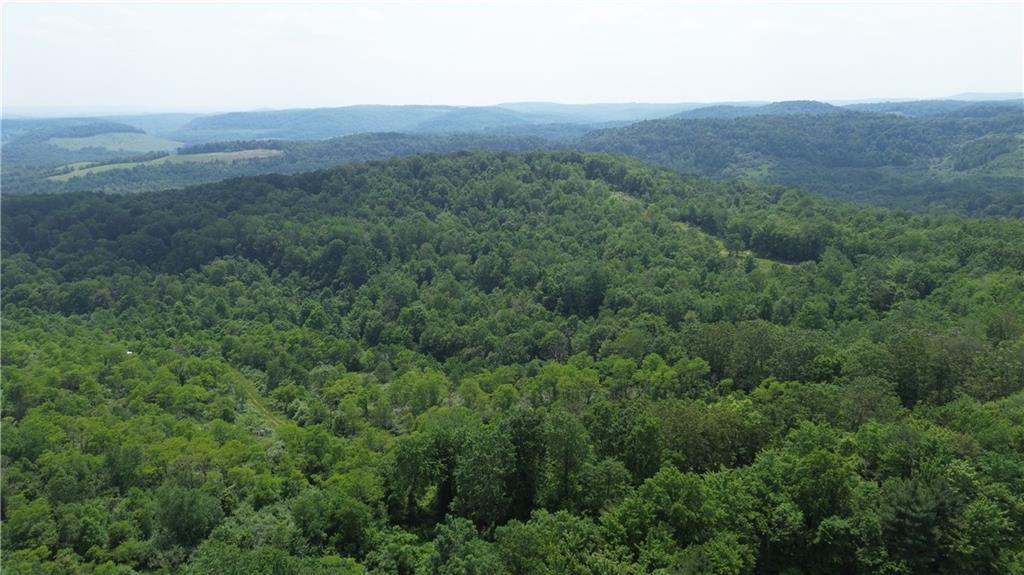 0 Glen Campbell Road Glen Campbell, PA 15742 - Photo 27 of 41 a view of a lush green forest with trees and some houses