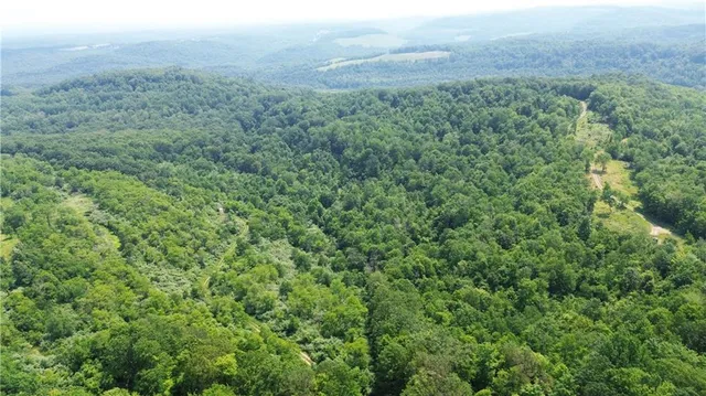 a view of a green field with lots of bushes