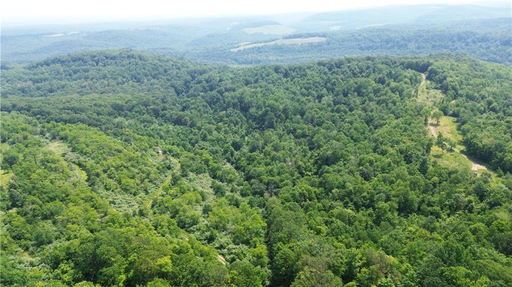 0 Glen Campbell Road Glen Campbell, PA 15742 - Photo 28 of 41 a view of a field of grass and trees