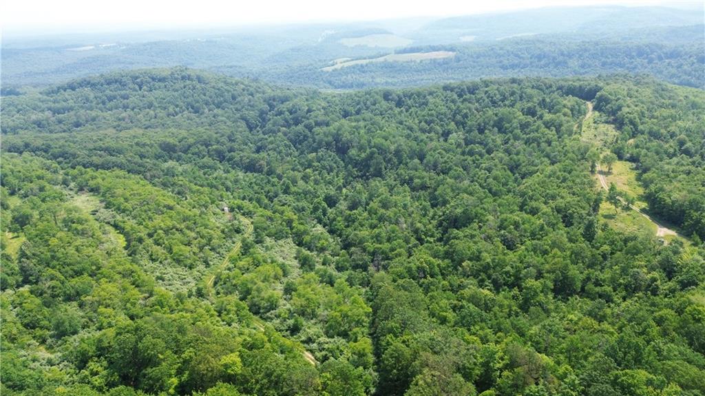 0 Glen Campbell Road Glen Campbell, PA 15742 - Photo 29 of 41 a view of a field of grass and trees