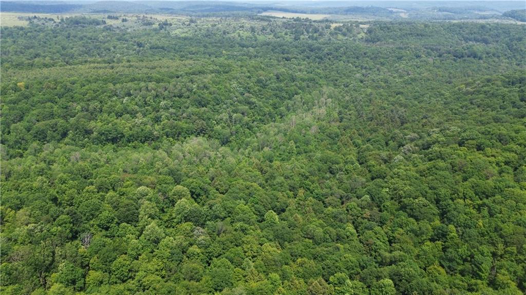 0 Glen Campbell Road Glen Campbell, PA 15742 - Photo 3 of 41