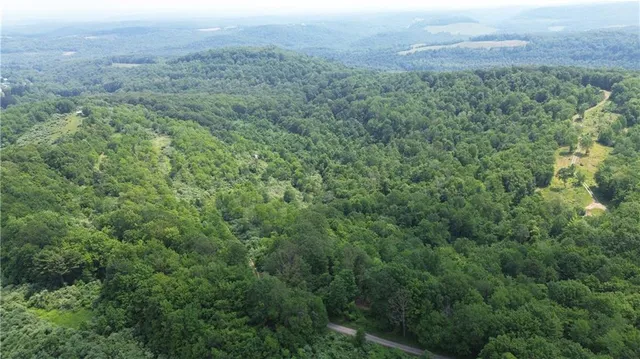 a view of a green field with lots of bushes