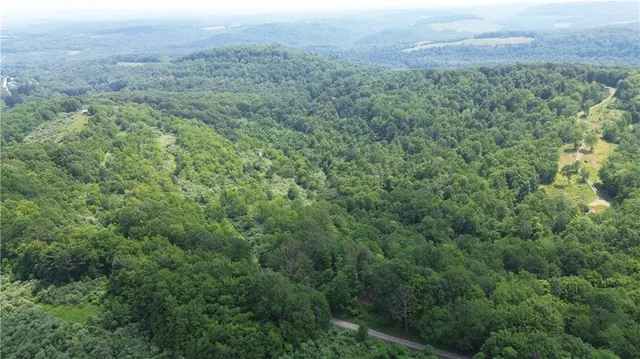 a view of a lush green forest with trees and some houses
