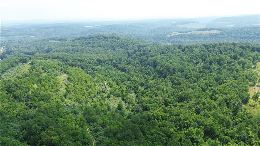 0 Glen Campbell Road Glen Campbell, PA 15742 - Photo 35 of 41 a view of a green field with lots of bushes