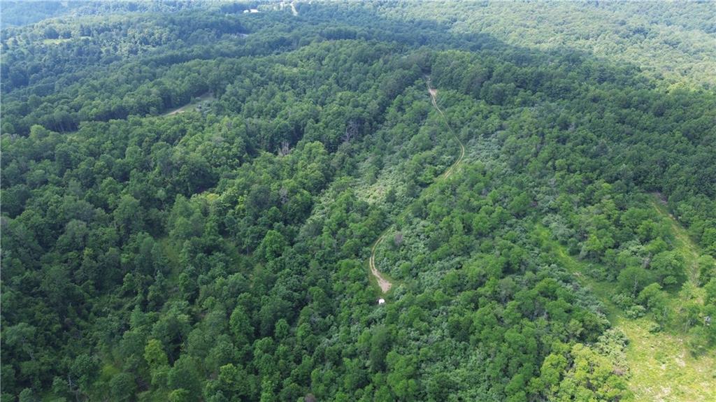 0 Glen Campbell Road Glen Campbell, PA 15742 - Photo 37 of 41 a view of a lush green forest