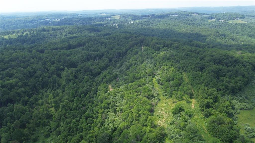 0 Glen Campbell Road Glen Campbell, PA 15742 - Photo 39 of 41 a view of a green field with lots of bushes