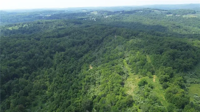 $338,000 | 0 Glen Campbell Road, Glen Campbell, PA 15742