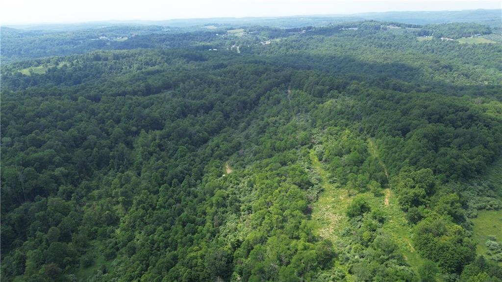 0 Glen Campbell Road Glen Campbell, PA 15742 - Photo 40 of 41