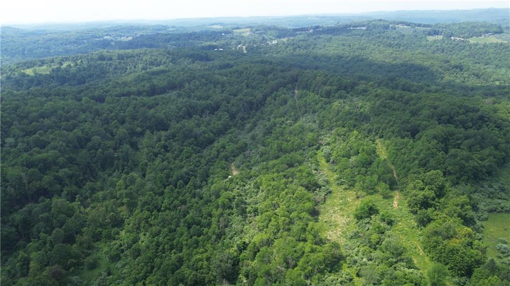 0 Glen Campbell Road Glen Campbell, PA 15742 - Photo 41 of 41 a view of a lush green forest with trees and some houses
