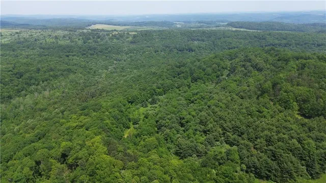 a view of a lush green forest with trees and some houses