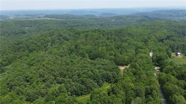 a view of a lush green forest with trees and some houses