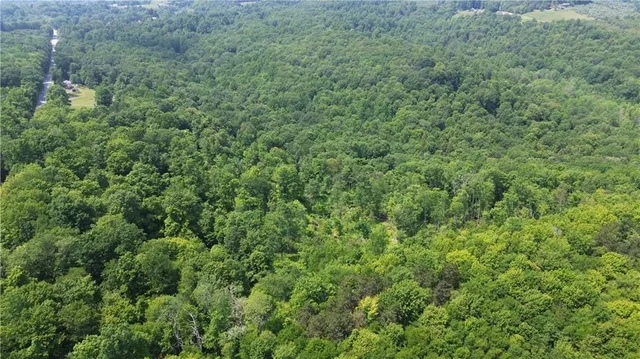 a view of a lush green forest with trees and some houses