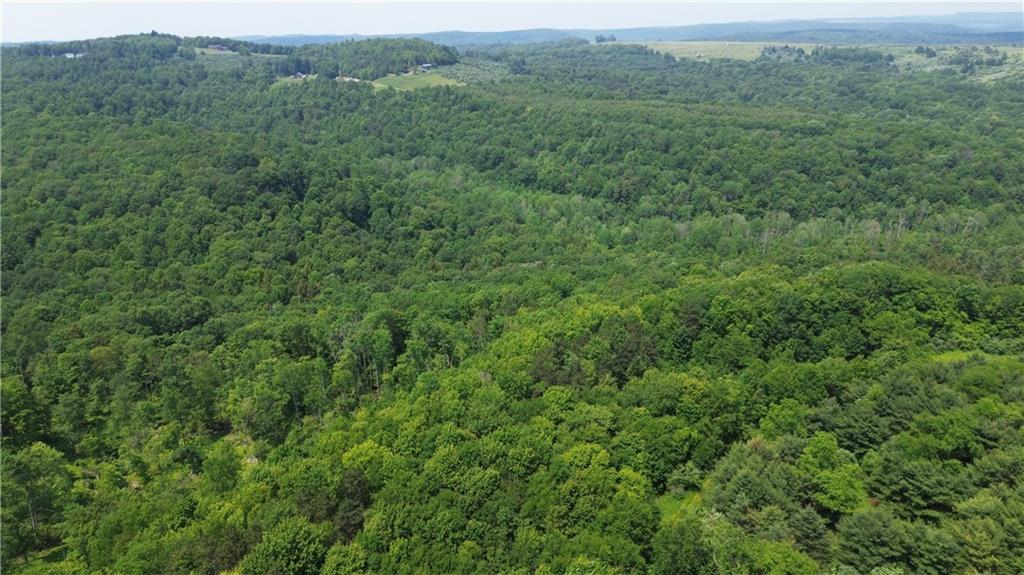 0 Glen Campbell Road Glen Campbell, PA 15742 - Photo 9 of 41 a view of a lush green forest with trees and some houses