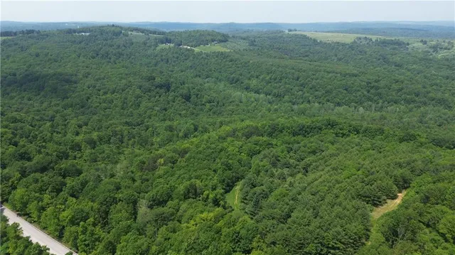 a view of a green field with lots of bushes