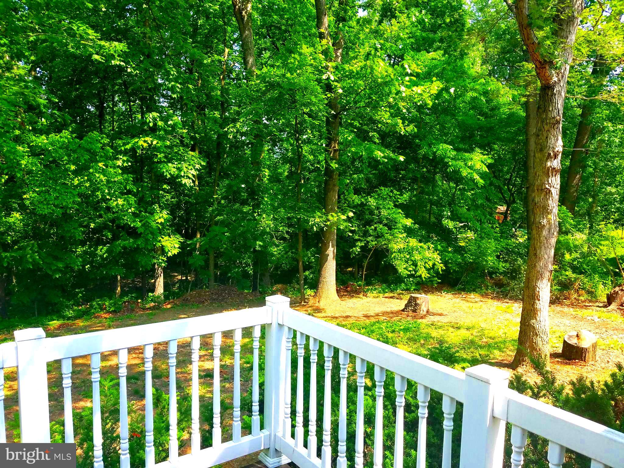 410 Short Road Kearneysville, WV 25430 - Photo 8 of 33