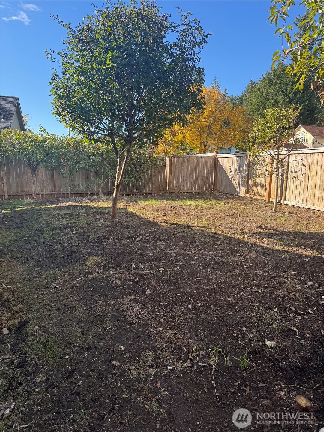 5920 Compton Loop Southeast Lacey, WA 98513 - Photo 28 of 37 a view of backyard with tree and wooden fence
