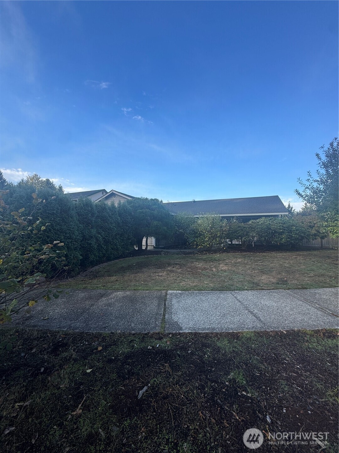 5920 Compton Loop Southeast Lacey, WA 98513 - Photo 34 of 37 a view of a yard