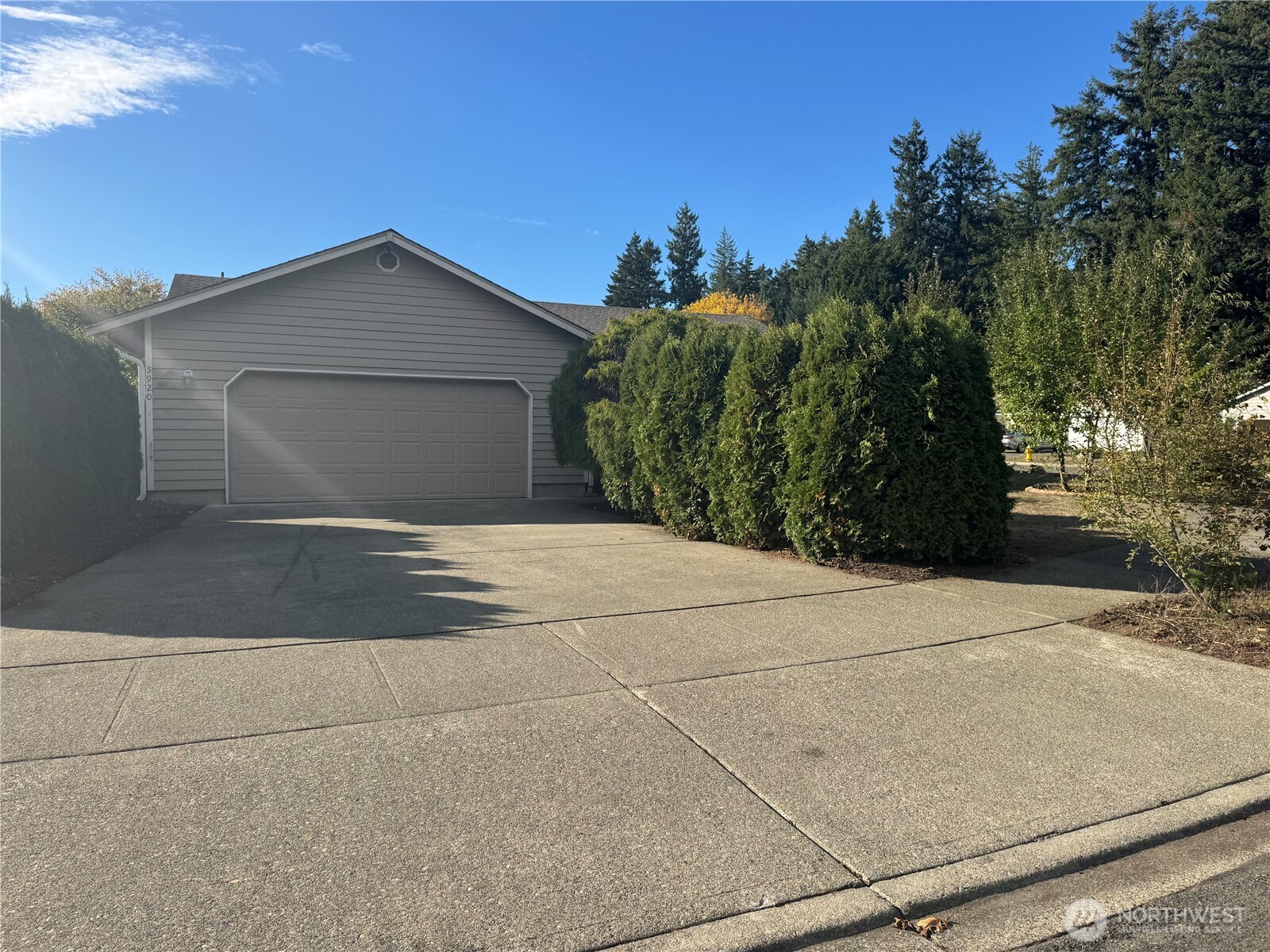 5920 Compton Loop Southeast Lacey, WA 98513 - Photo 4 of 37 a view of garage and yard