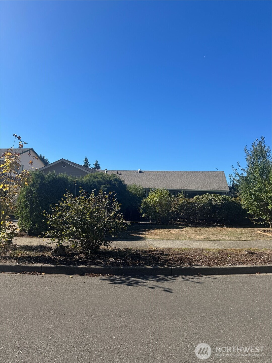 5920 Compton Loop Southeast Lacey, WA 98513 - Photo 5 of 37 a view of lake view and mountain view