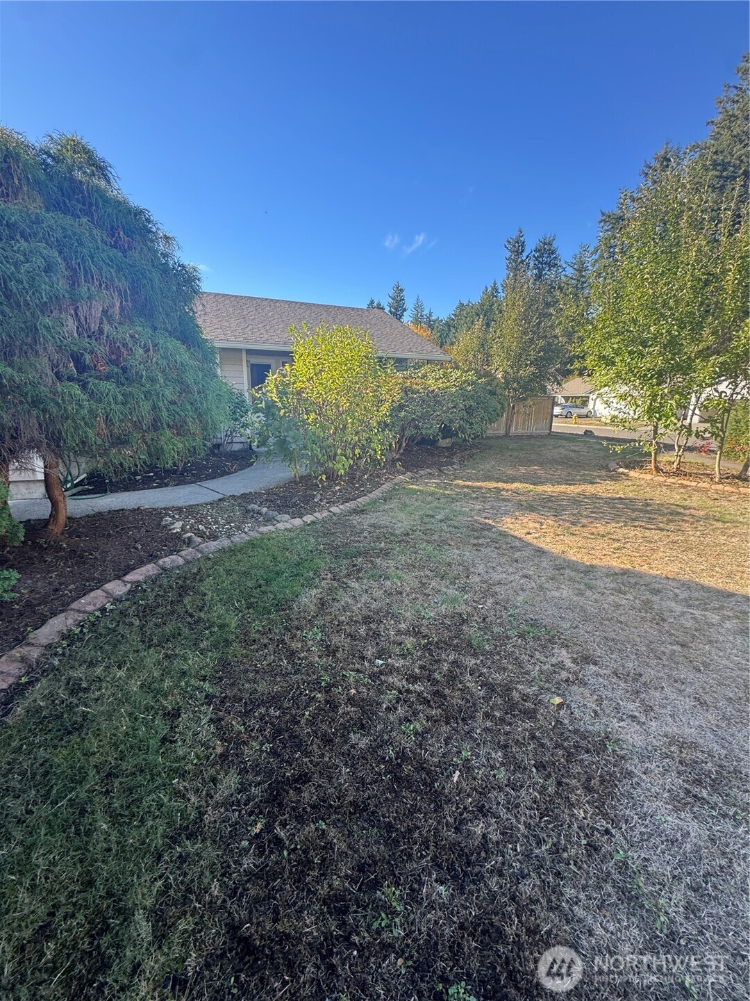 5920 Compton Loop Southeast Lacey, WA 98513 - Photo 6 of 37 a view of an outdoor space and trees