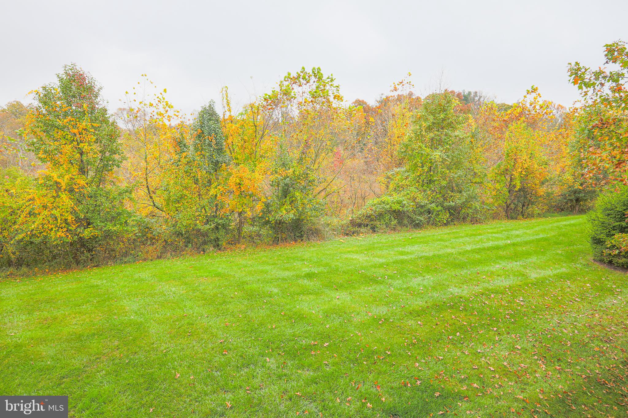 9754 Reese Farm Road Owings Mills, MD 21117 - Photo 21 of 39 Open Space for Morning Coffee