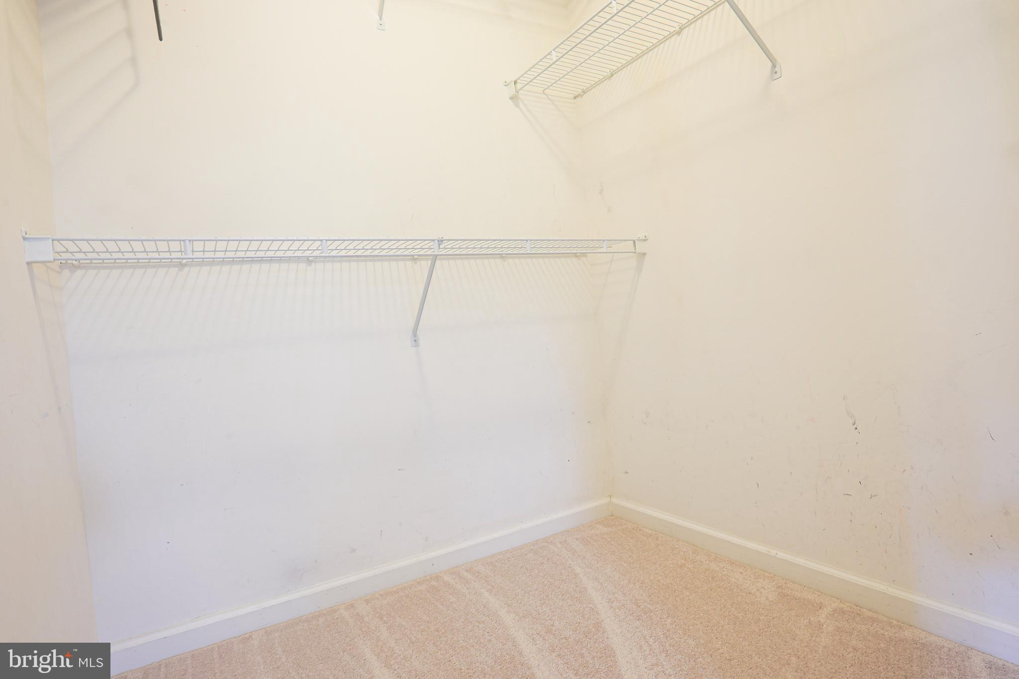 9754 Reese Farm Road Owings Mills, MD 21117 - Photo 26 of 39 Walk-in Closet
