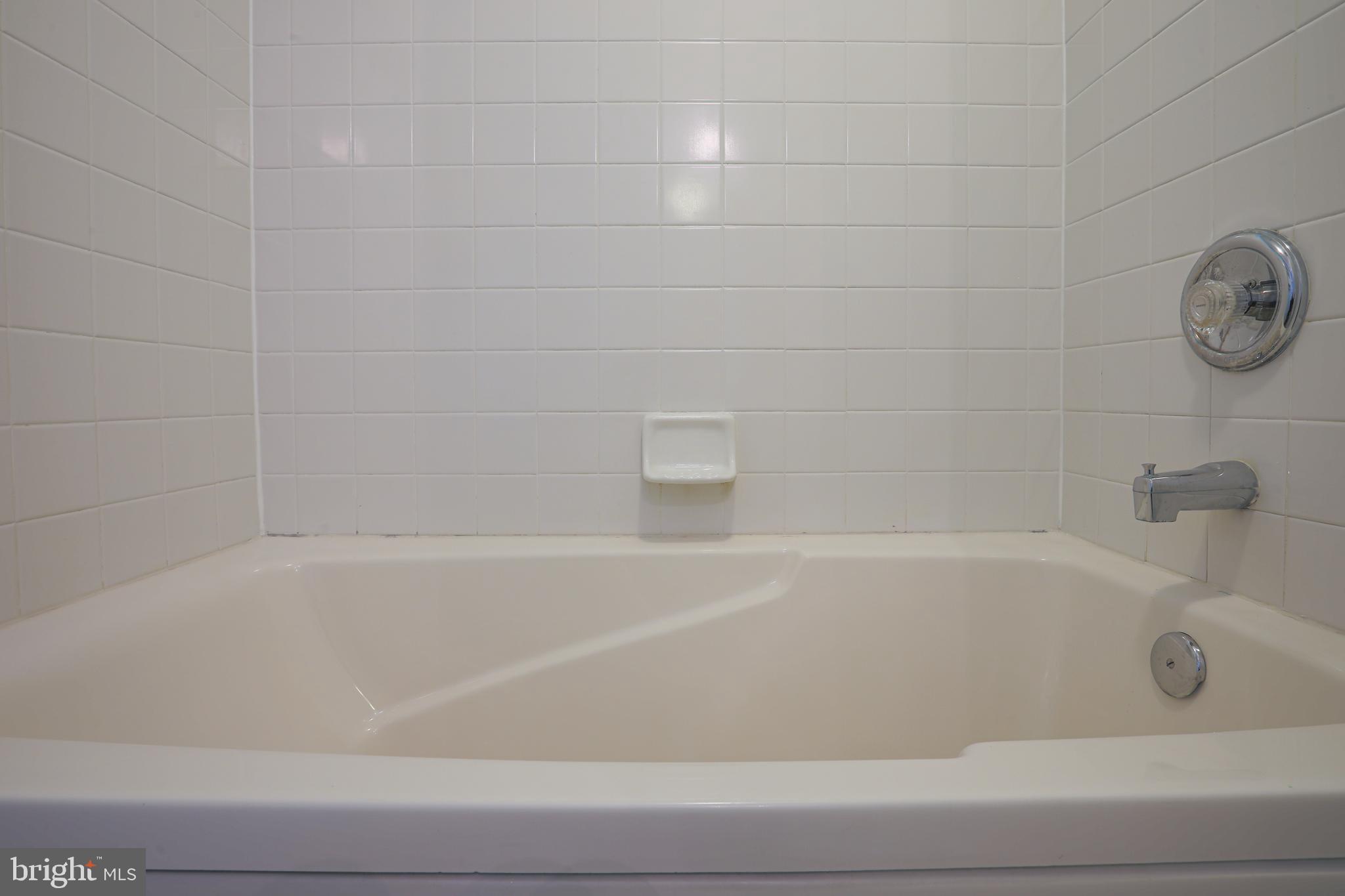 9754 Reese Farm Road Owings Mills, MD 21117 - Photo 28 of 39 Large Soaking Tub