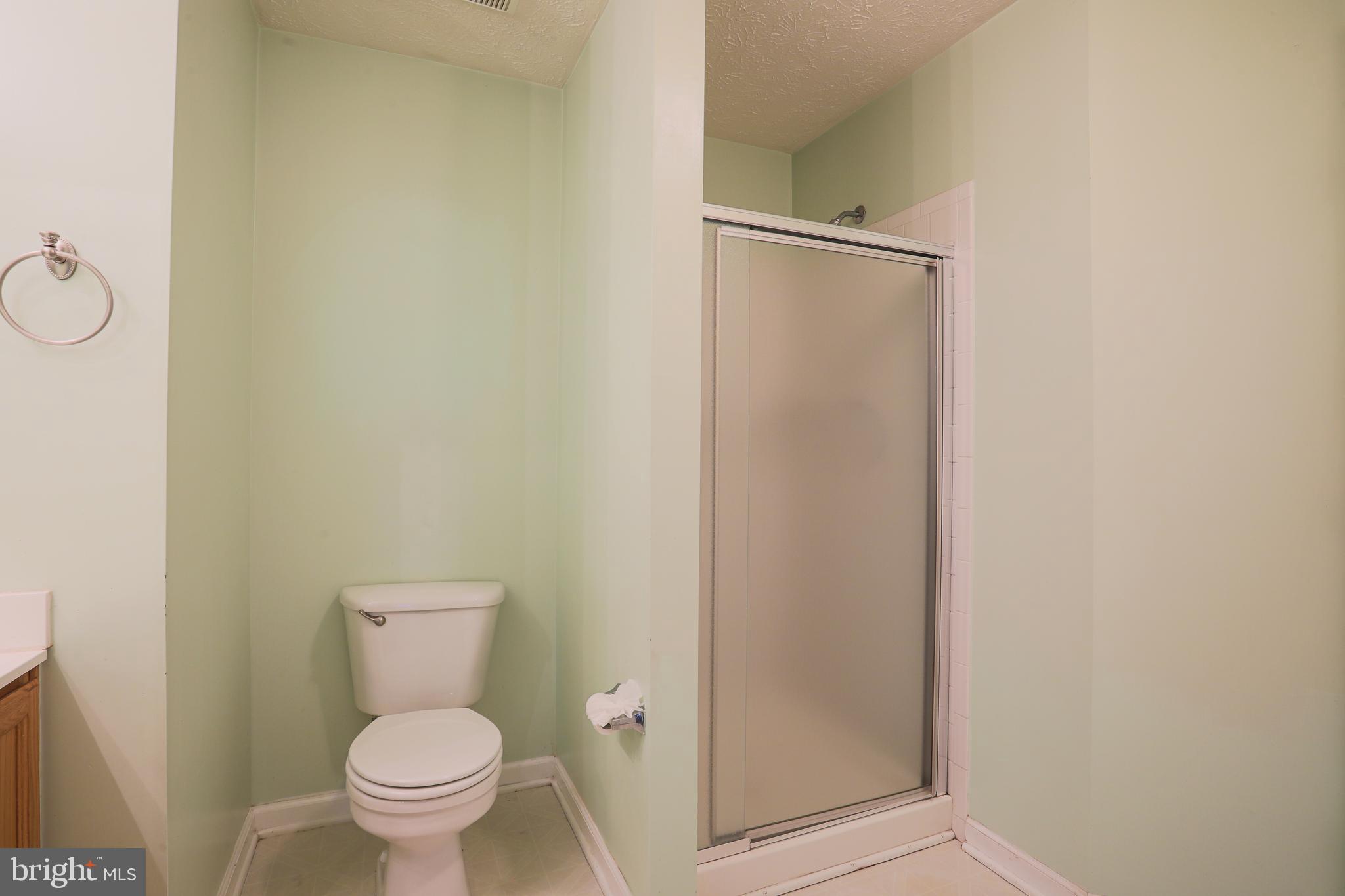 9754 Reese Farm Road Owings Mills, MD 21117 - Photo 32 of 39 Shower Area