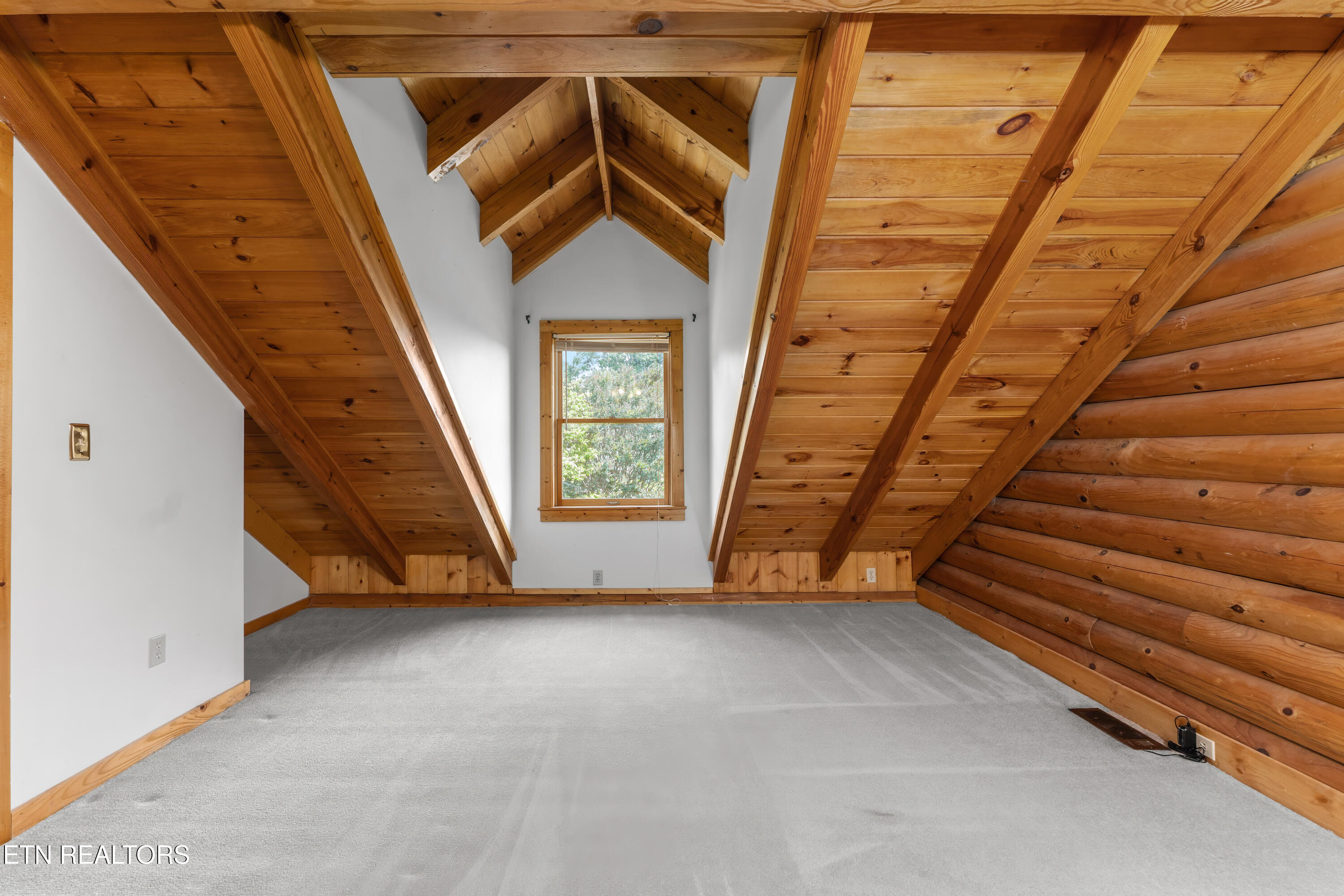 1163 Country Club Road Dandridge, TN 37725 - Photo 29 of 56 _DSC4198-Edit