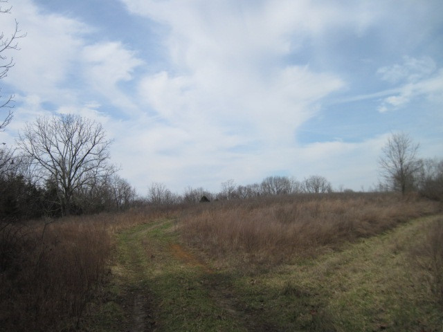 Chapman Road Dry Ridge, KY 41035 - Photo 5 of 19