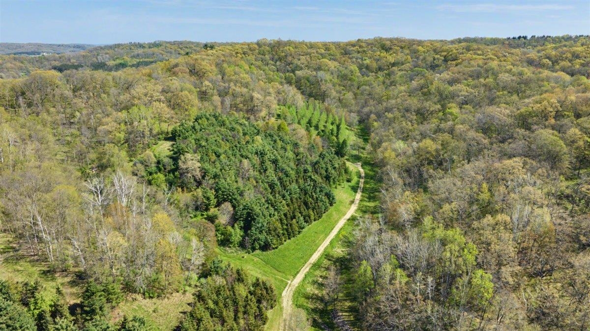 70-ac Harris Road La Farge, WI 54639 - Photo 28 of 67 Gallery Image 28