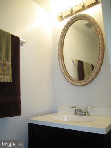6226 Hillside Road Springfield, VA 22152 - Photo 3 of 30 a bathroom with a sink and a mirror