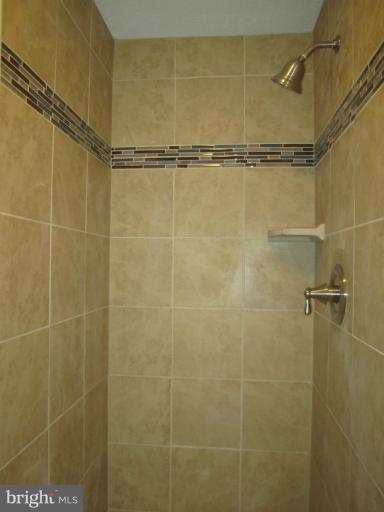 6226 Hillside Road Springfield, VA 22152 - Photo 26 of 30 a bathroom with a shower