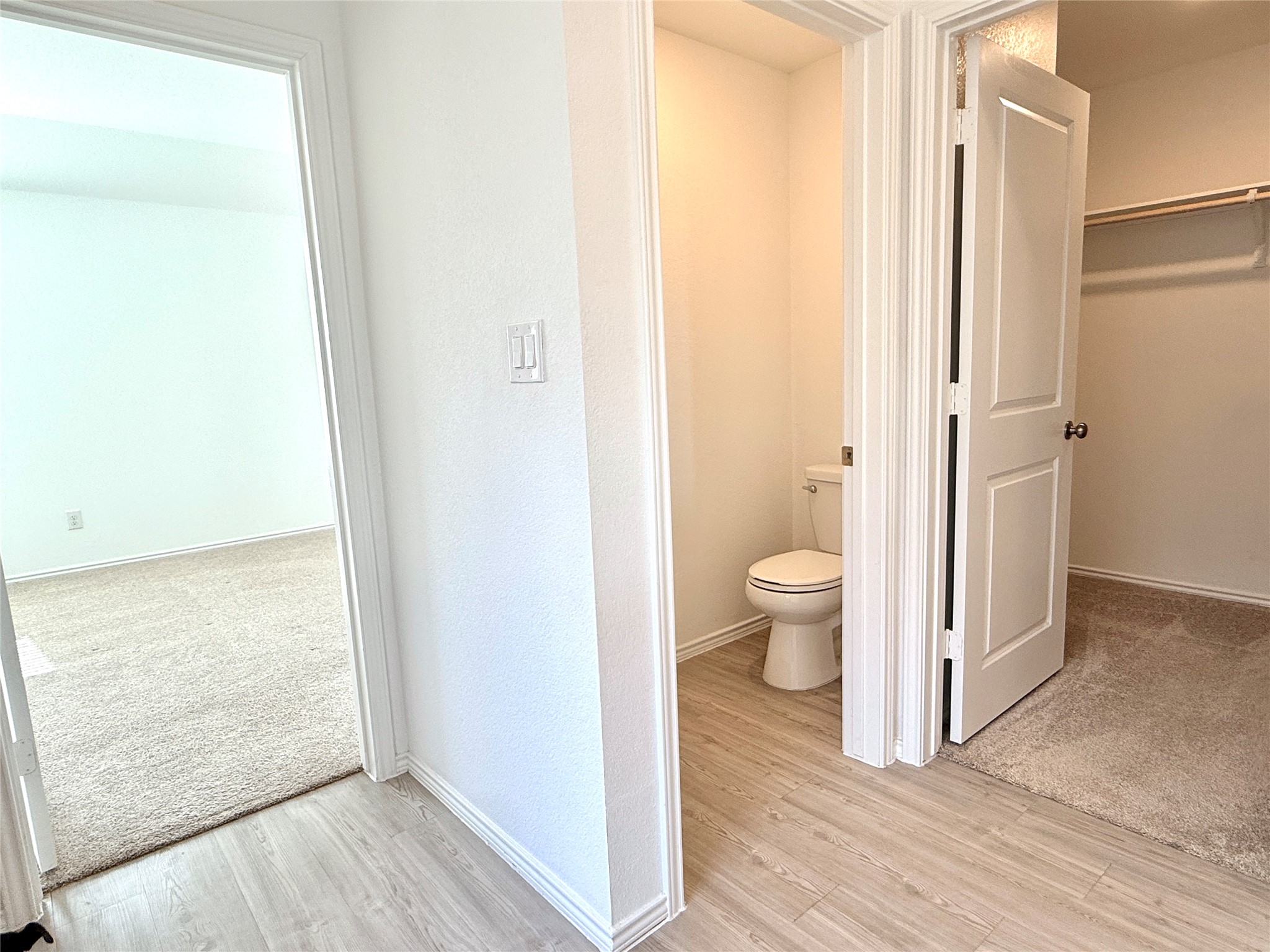 Bathroom with light colored carpet, light wood finished floors, and a walk in closet