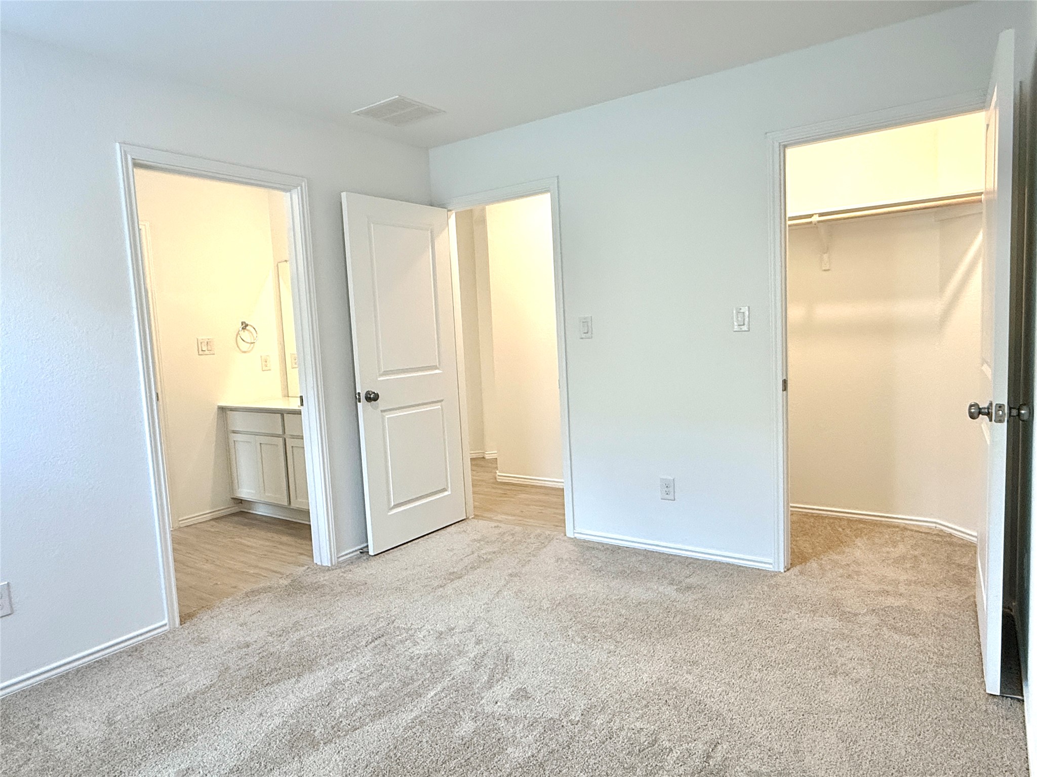 289 Sormonne Loop Kyle, TX 78640 - Photo 12 of 32 Unfurnished bedroom featuring a spacious closet, light carpet, and ensuite bathroom