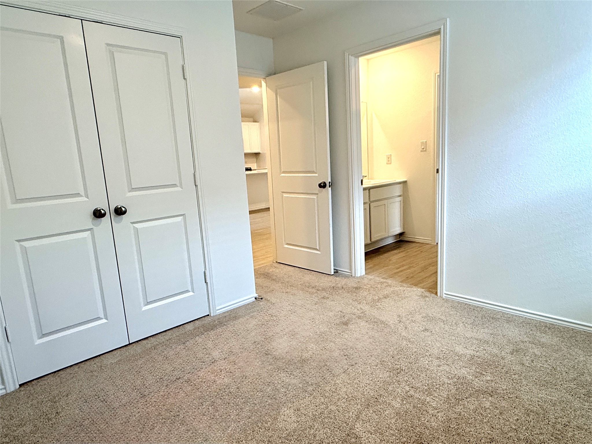 289 Sormonne Loop Kyle, TX 78640 - Photo 15 of 32 Unfurnished bedroom featuring a closet and light colored carpet