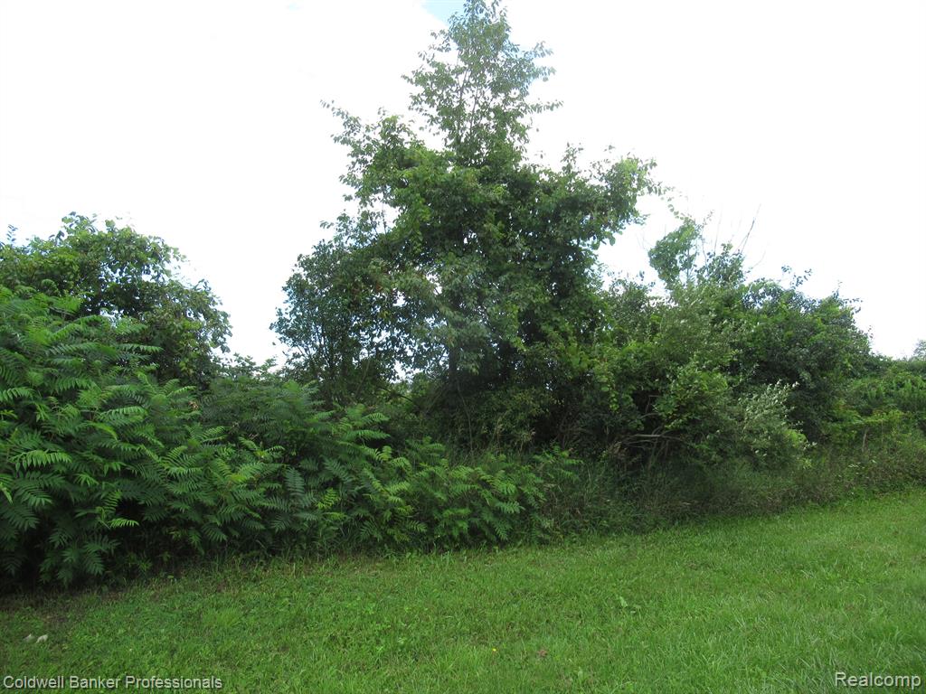 0 Turner Road Yale, MI 48097 - Photo 4 of 6