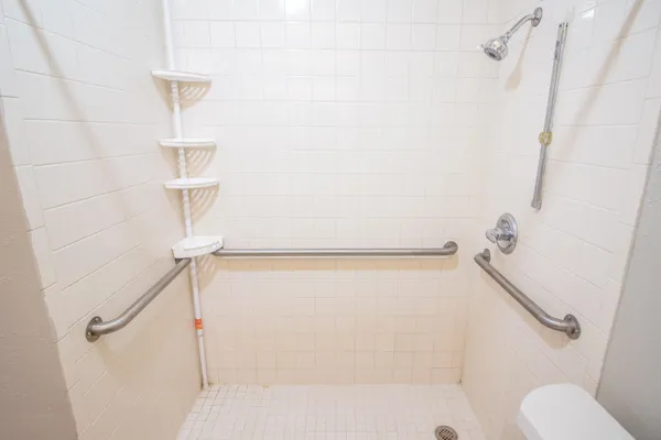 a bathroom with a shower and a toilet