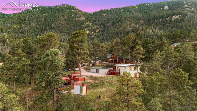 9450 Mohawk Trail Cascade, CO 80809 - Photo 6 of 47 Gallery Image 6