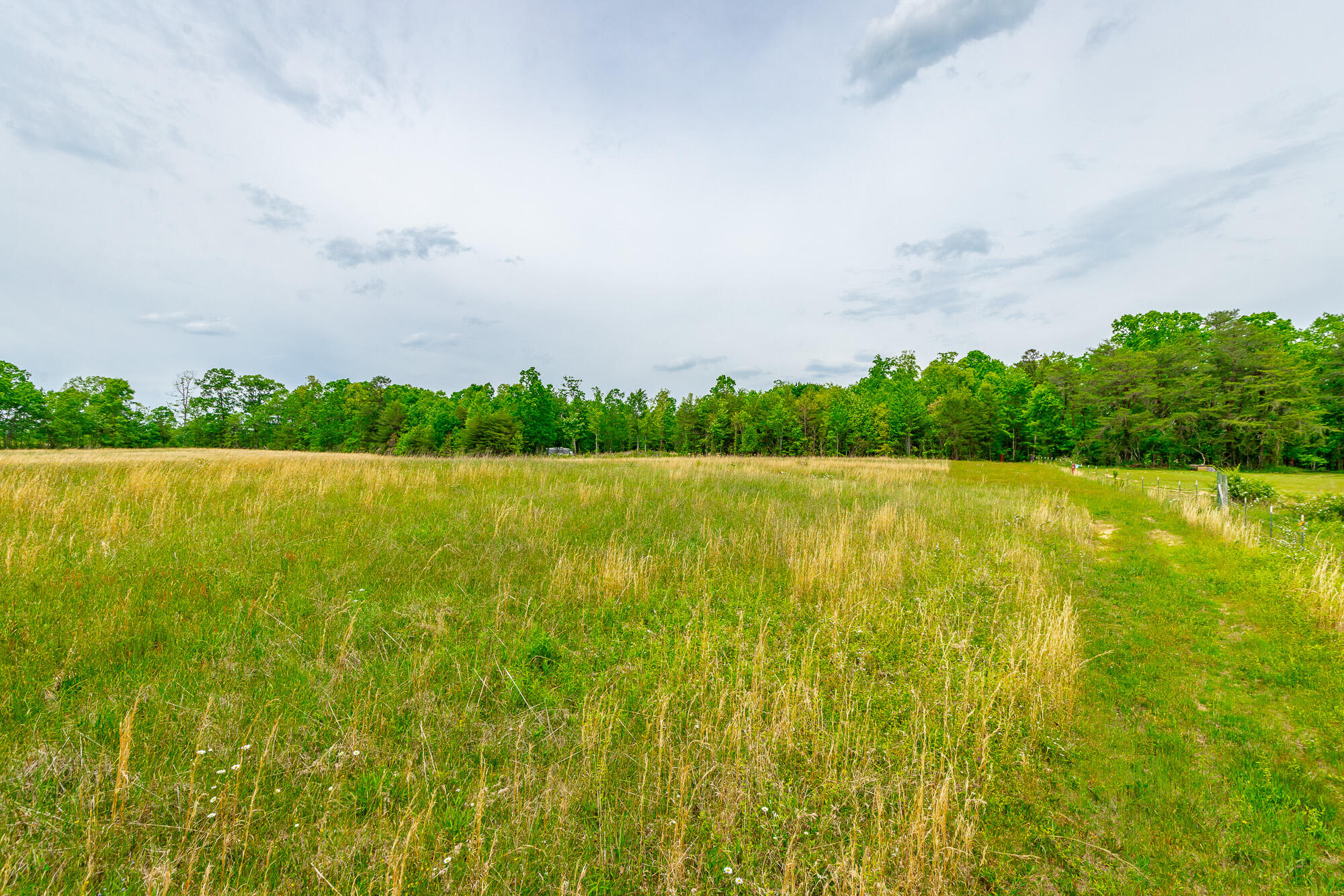 0 Ray Gadd Road Graysville, TN 37338 - Photo 59 of 109 Ray Gadd Road Lot HD-51