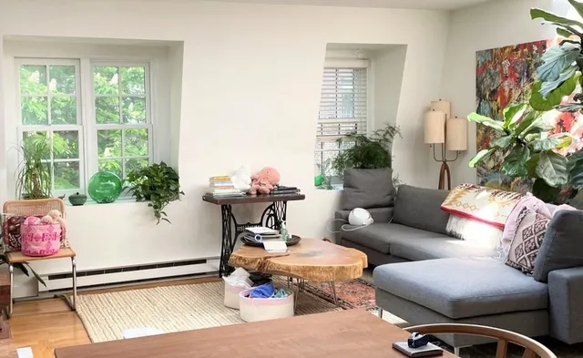 a living room with furniture and a potted plant