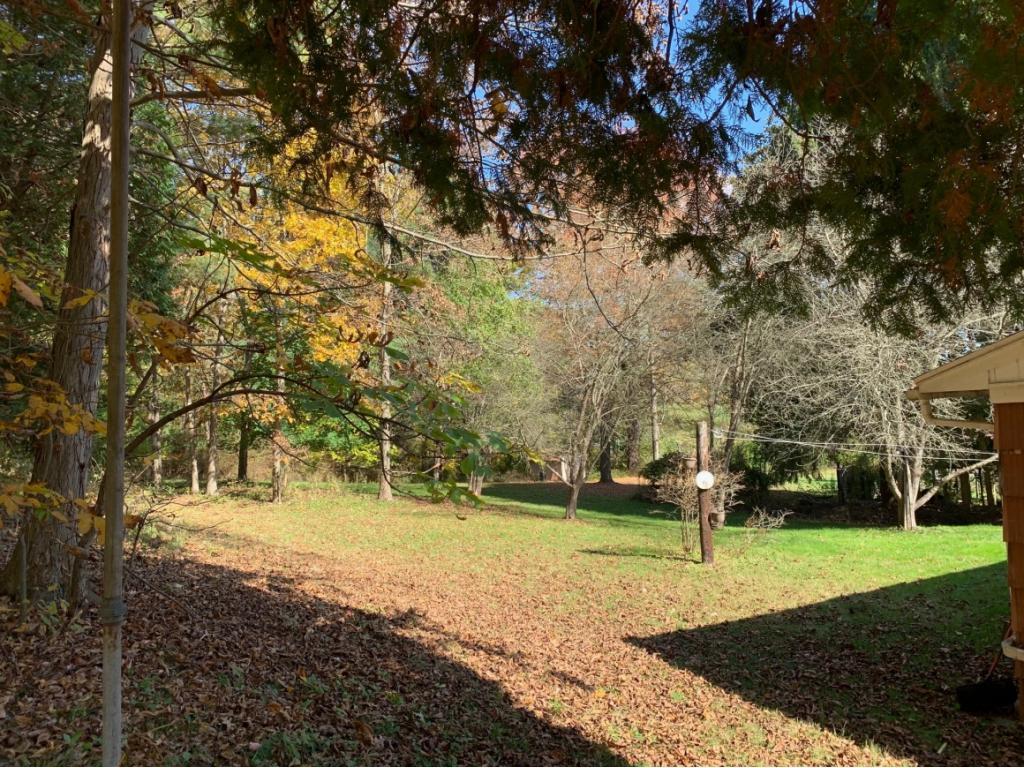 305 Dorman Road Binghamton, NY 13901 - Photo 13 of 15 Gallery Image 13